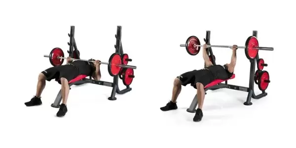 PANATTA OLYMPIC FLAT BENCH 1HP203B - Image 2